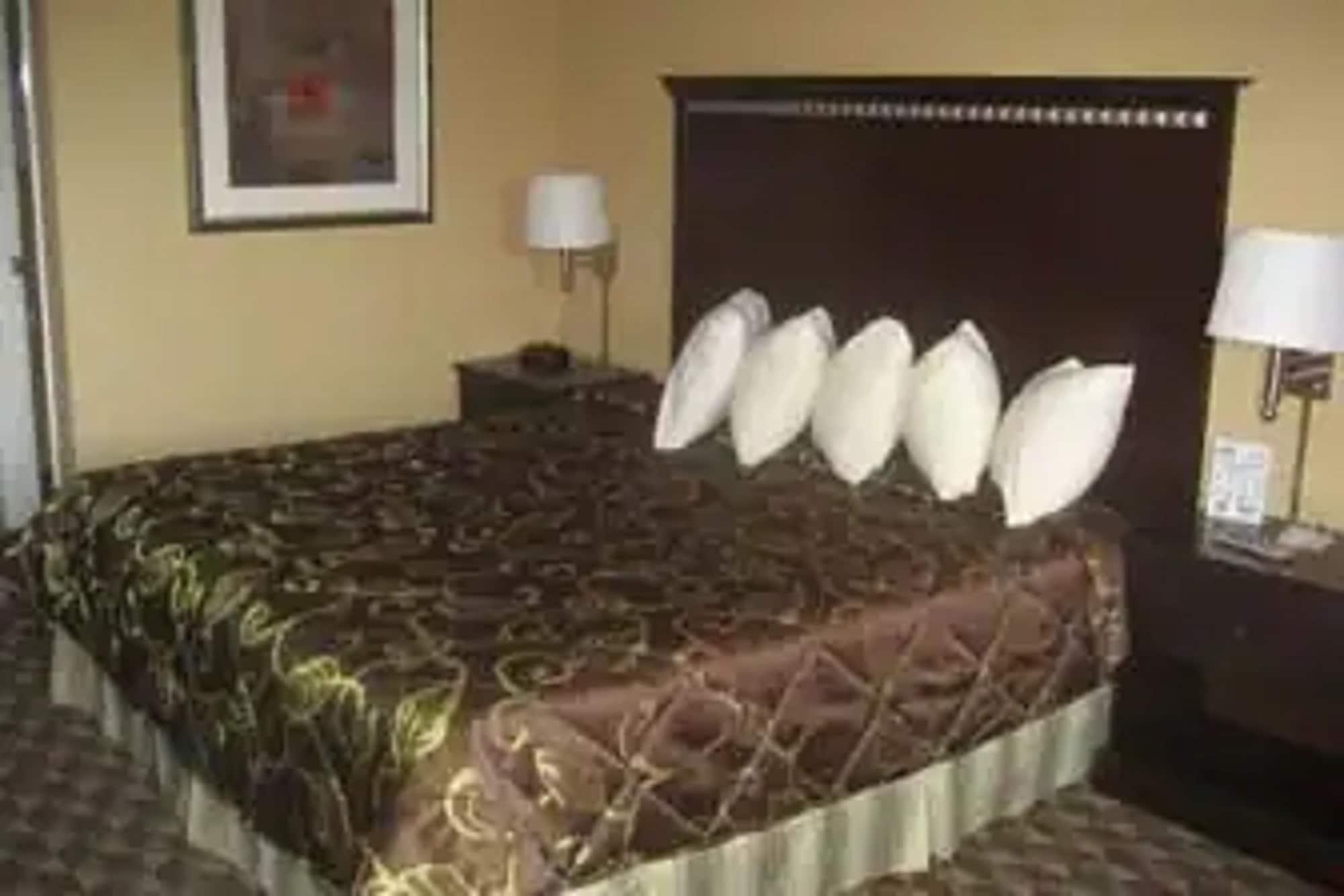 Days Inn By Wyndham Corpus Christi Beach Ruang foto